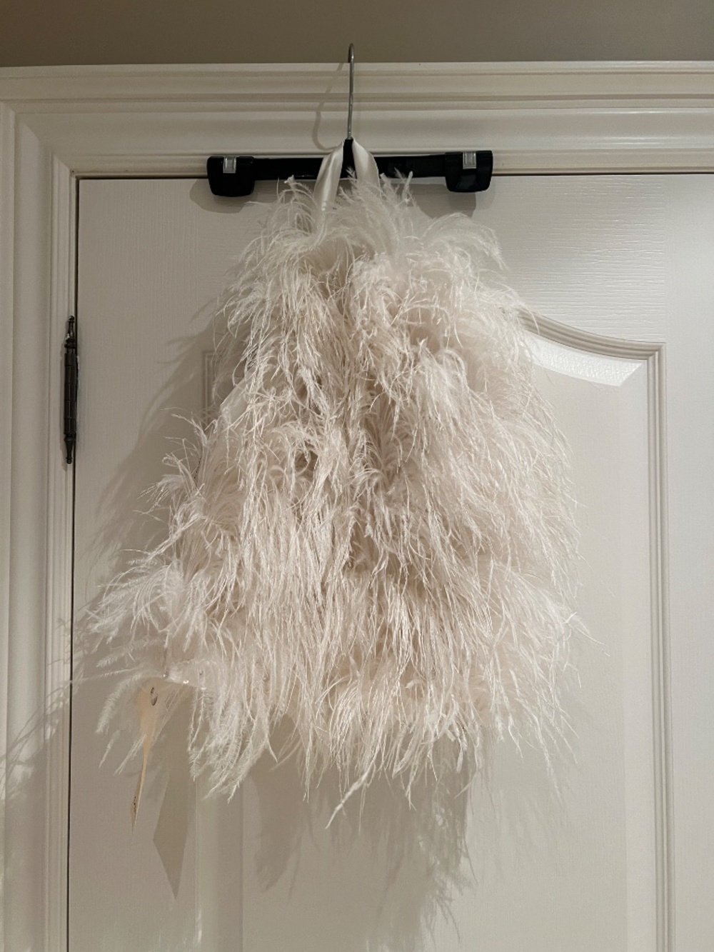 Ostrich Feather Jacket - Picture 6 of 7